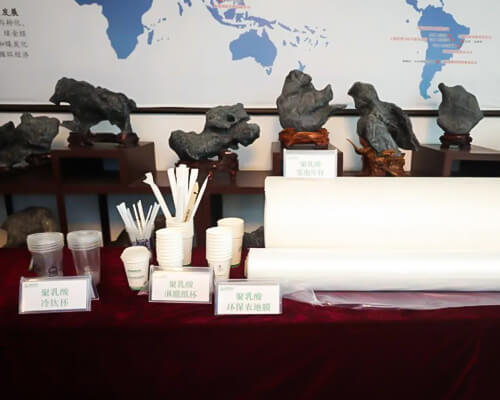 Anhui BBCA Biotechnology Co., Ltd. Develops Organic Acids, Amino Acids & PLA