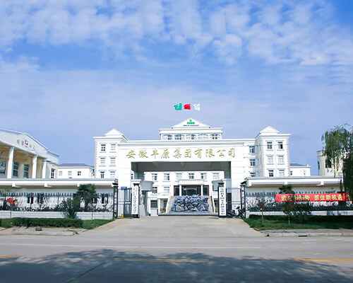 Anhui BBCA Group Co., Ltd.