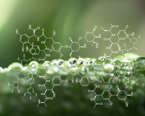 BBCA BELGIUM NV Provides Organic Acids