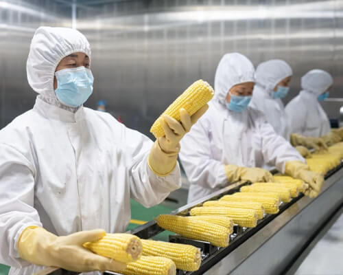 BBCA Brazil Industrial e Investimentos Ltda Focuses on Corn Deep Processing